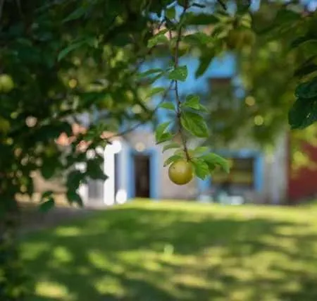 Casa Conce, Zona De Playa Y Montana * リャネス